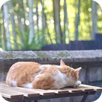 スライド画像２