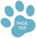 pagetop